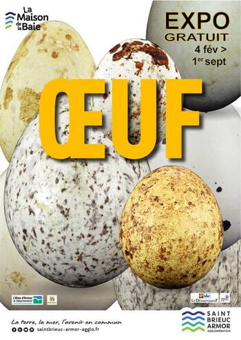 Exposition - Oeufs