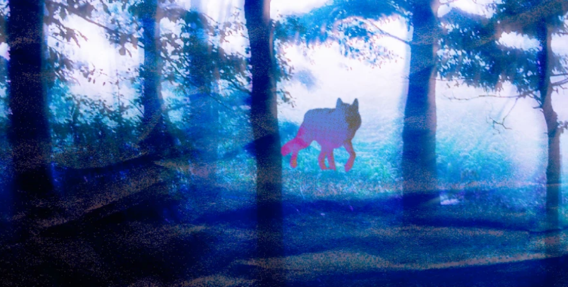 Se souvenir des loups (Théâtre)