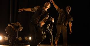 Dinosaure Santiago Codon Gras - Cie D-daL (danse)