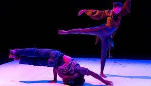 Coquille (spectacle de danse d'Amalia Dianor)