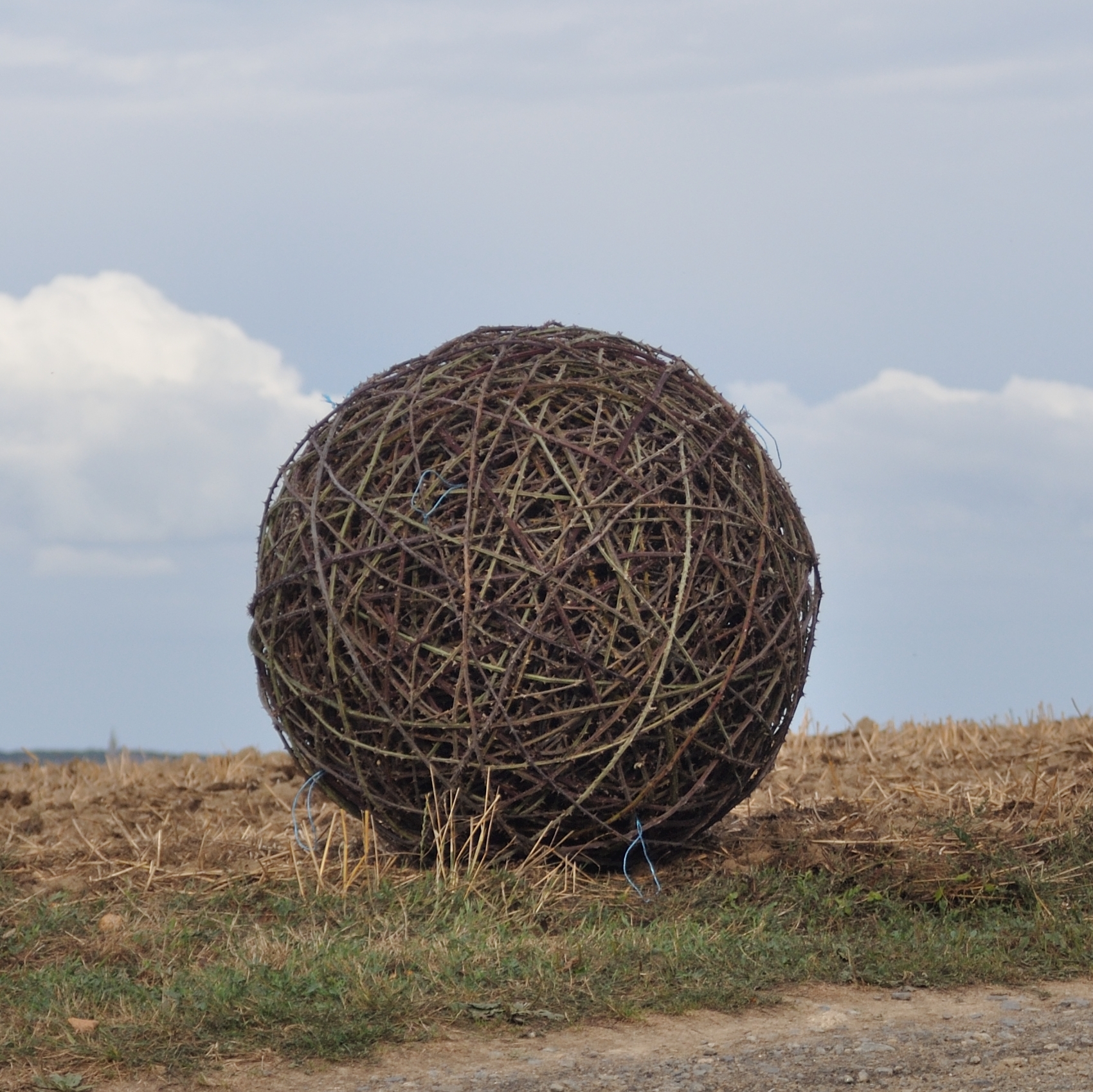 Exposition Sculpture + rencontre avec l'artiste Sibylle Besançon