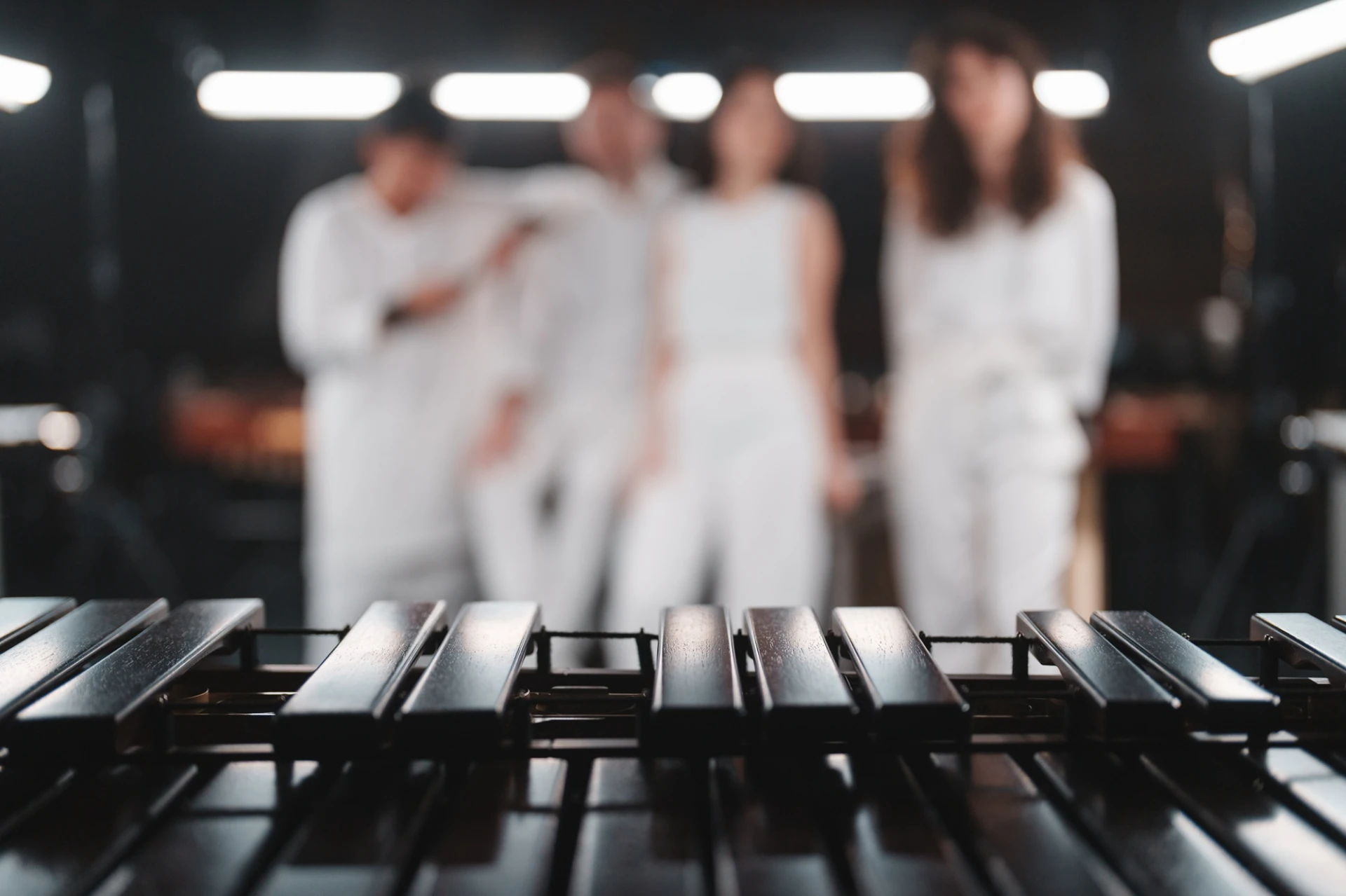 Les Percussions de Strasbourg (Musique)