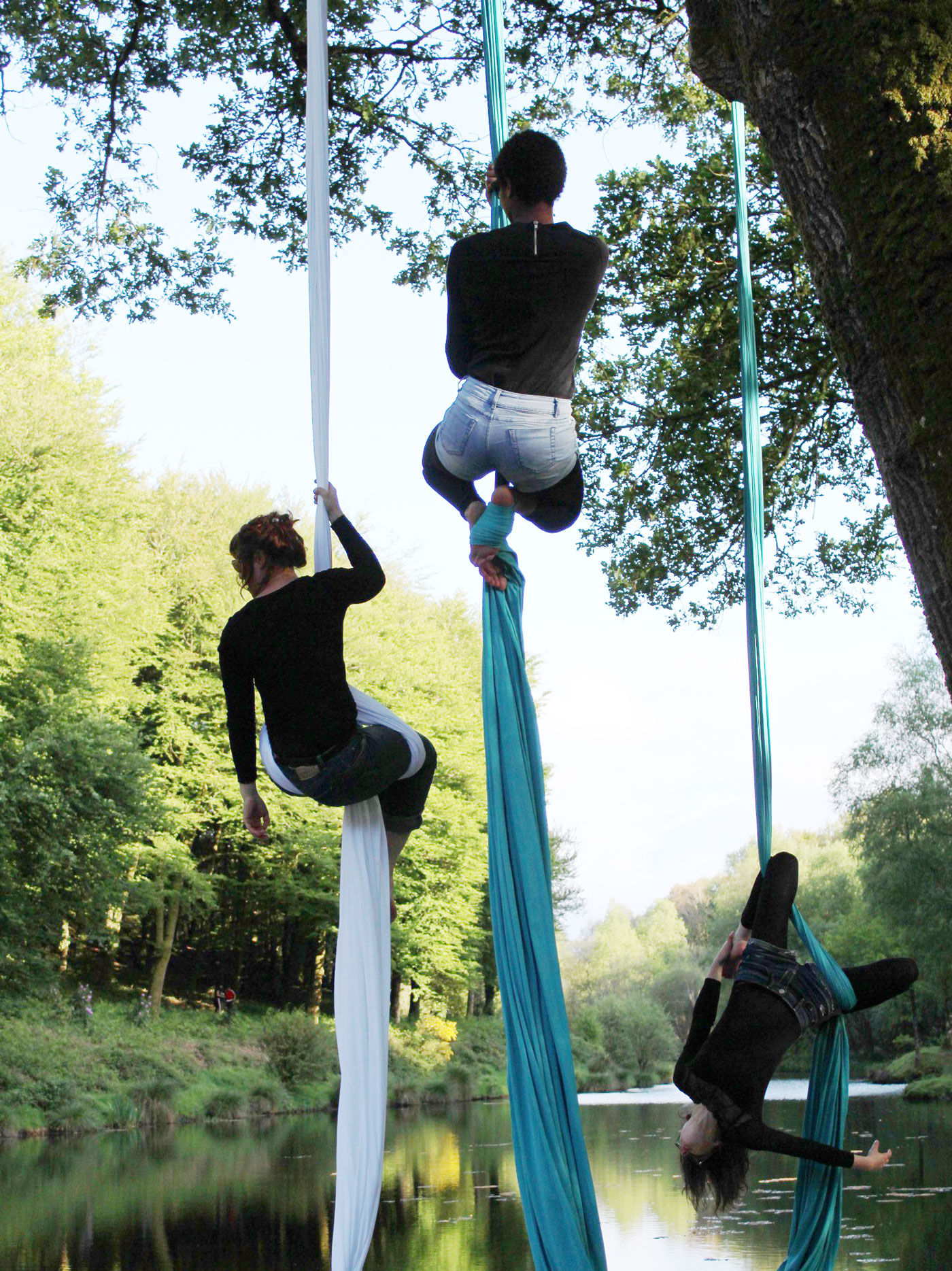 Spectacle suivi d un atelier cirque aerien